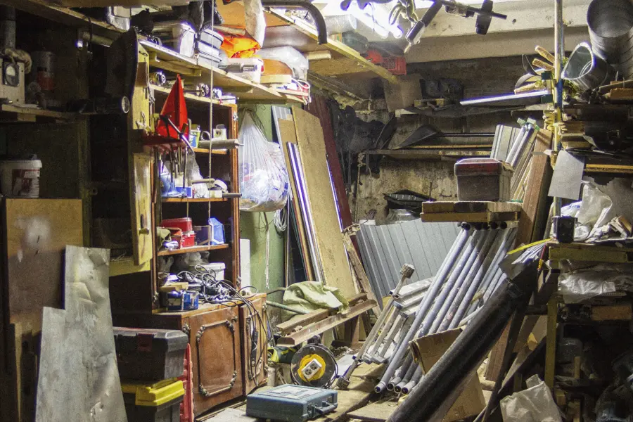 Professional Junk Collection
