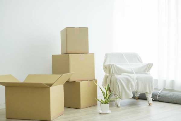 Downsizing